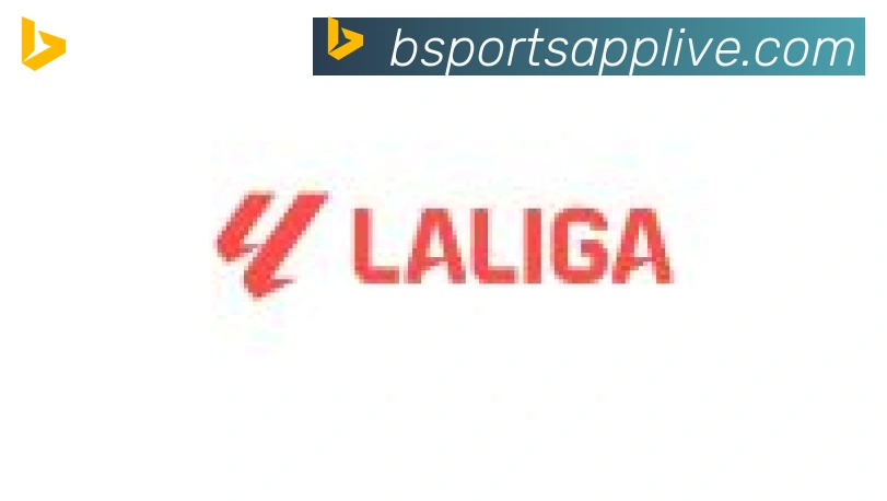 Bsports官网合作伙伴